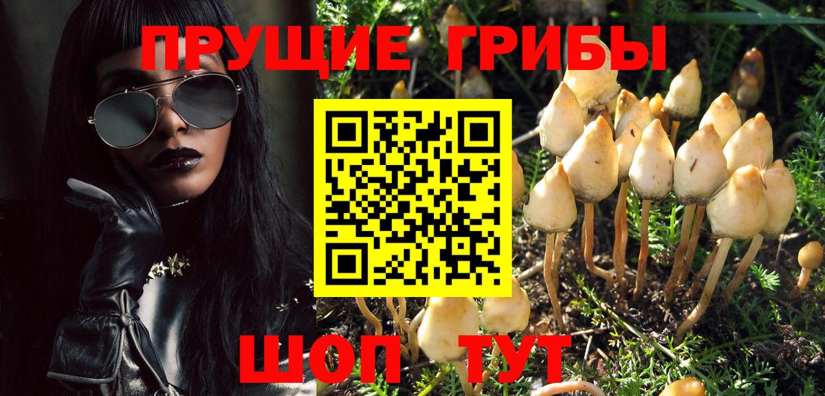 Псилоцибиновые грибы мухоморы  Вход с VPN  Сердобск 